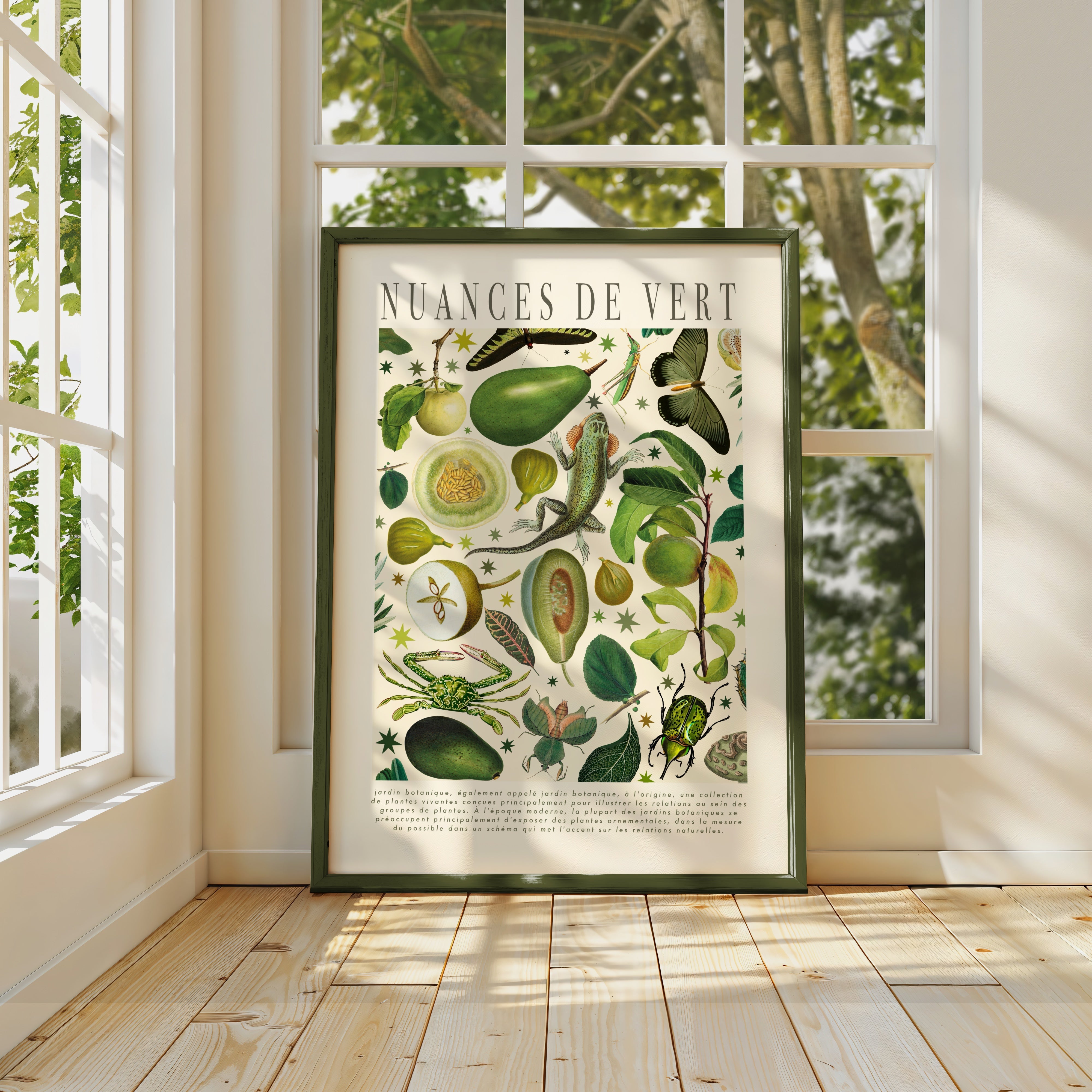 Shades of Colour Prints Shades of Colour Prints