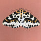 Magpie Moth Original Illustration, Moth Art Print, Insects Gallery Wall, Vintage Insect Print, Enntomological Art Print, Moth Bug Print