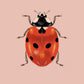 Lady Bird Original Illustration, Ladybird Art Print, Insects Gallery Wall, Vintage Insect Print, Enntomological Art Print, Lady Bug Print