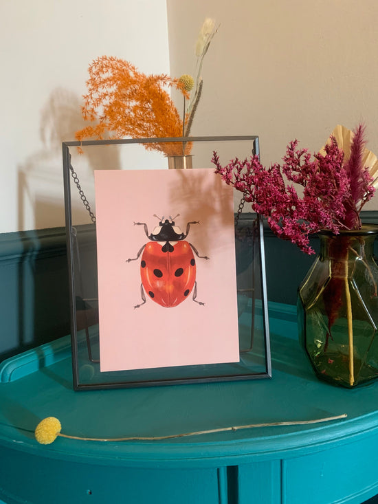 Lady Bird | Unframed