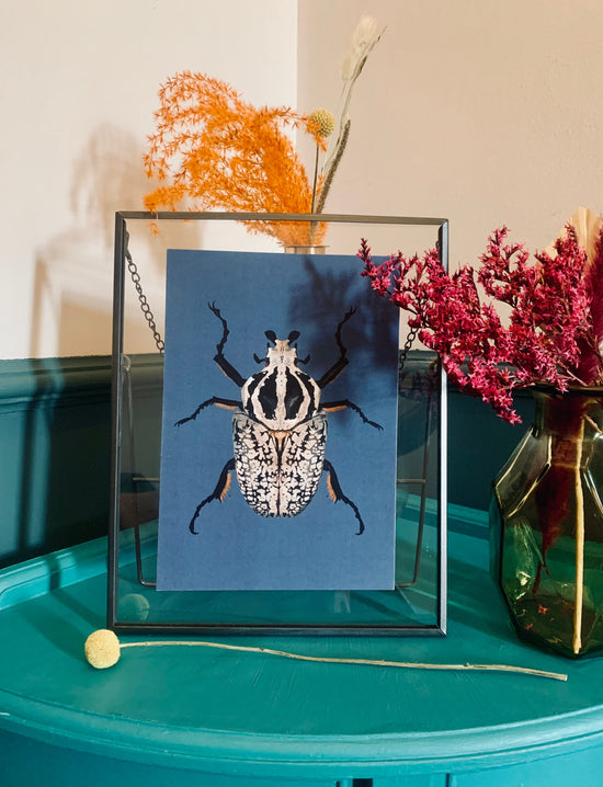 Goliath Beetle | Unframed