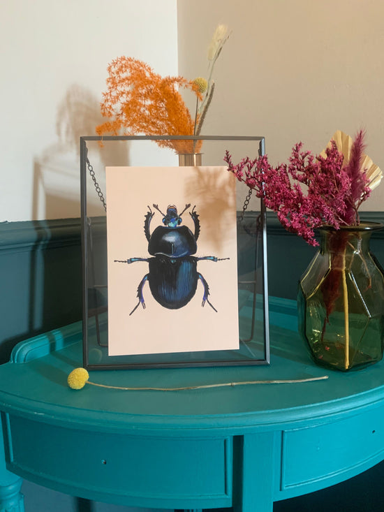 Blue Mint Beetle | Unframed