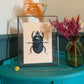 Blue Mint Beetle Original Illustration, Black Beetle Art Print, Insects Gallery Wall, Vintage Insect Print, Entomological Art Print,