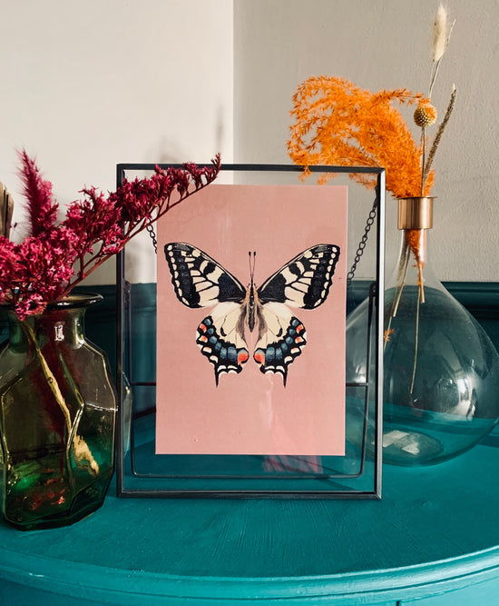 Swallowtail Butterfly | Unframed
