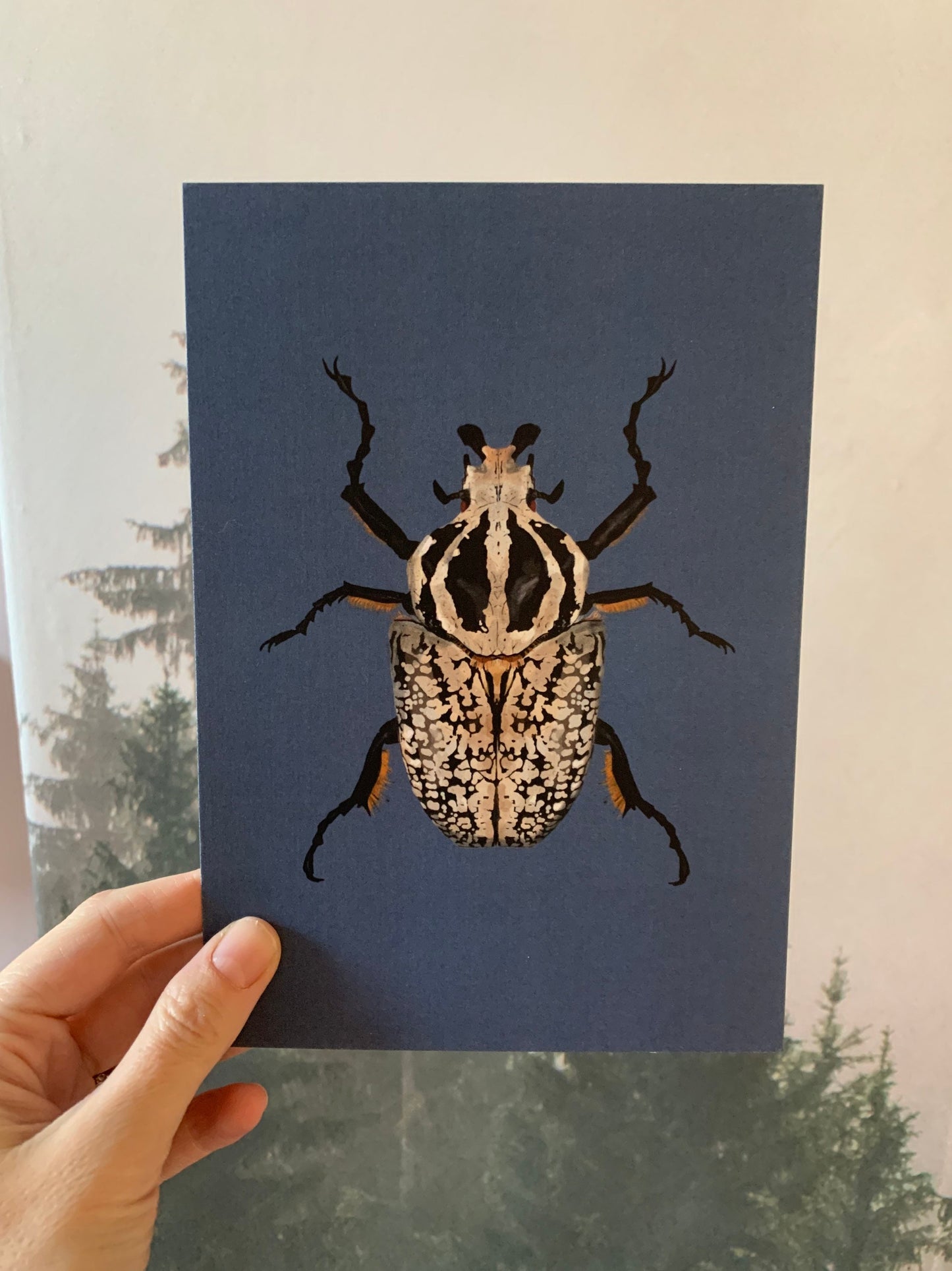 Goliath Beetle | Unframed