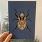 Goliath Beetle Original Illustration, Beetle Art Print, Insects Gallery Wall, Vintage Insect Print, Entomological Art Print, Beetle Print