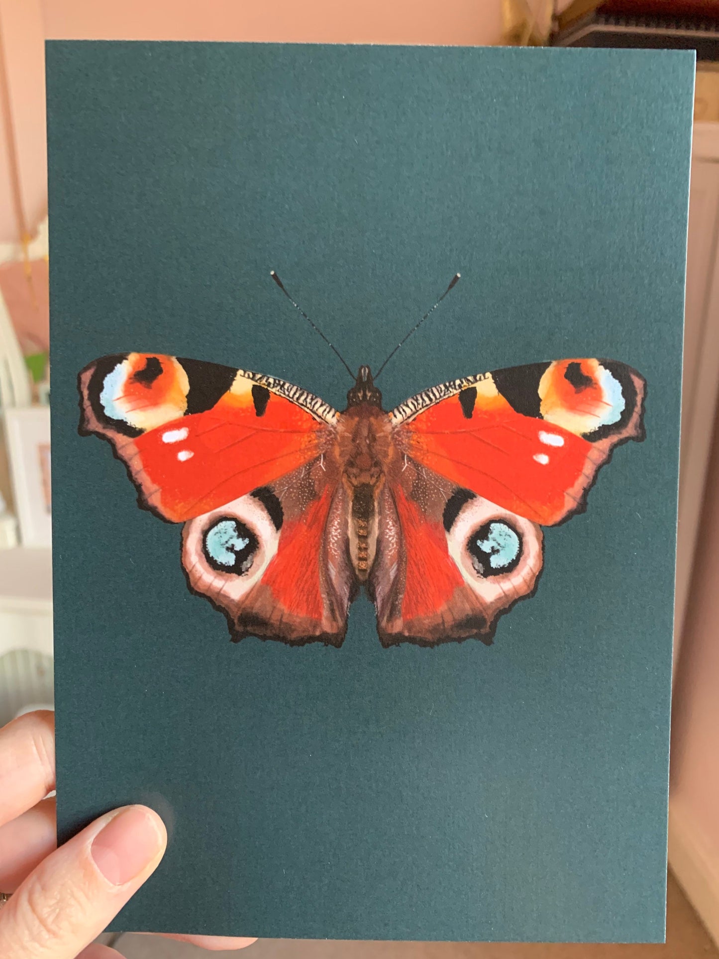 Peacock Butterfly | Unframed