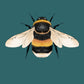 Bumble Bee | Unframed