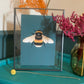 Bumble Bee | Unframed
