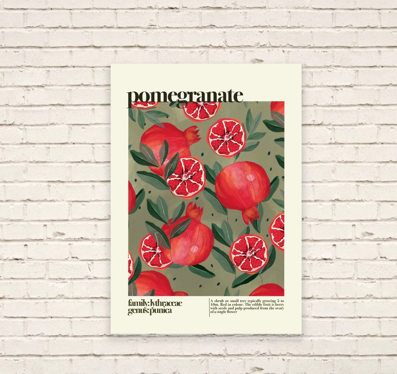 Pomegranate | Unframed