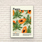Papaya / Papaya Print / Fruit Print / Still Life / Summer Print / French Print / Fruit / Wall Art / Tropical Print / Botanical Print
