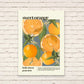 Sweet Orange | Unframed