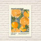 Sweet Orange / Orange Print / Fruit Print / Still Life / Summer Print / French Print / Fruit / Wall Art / Tropical Print / Botanical Print /