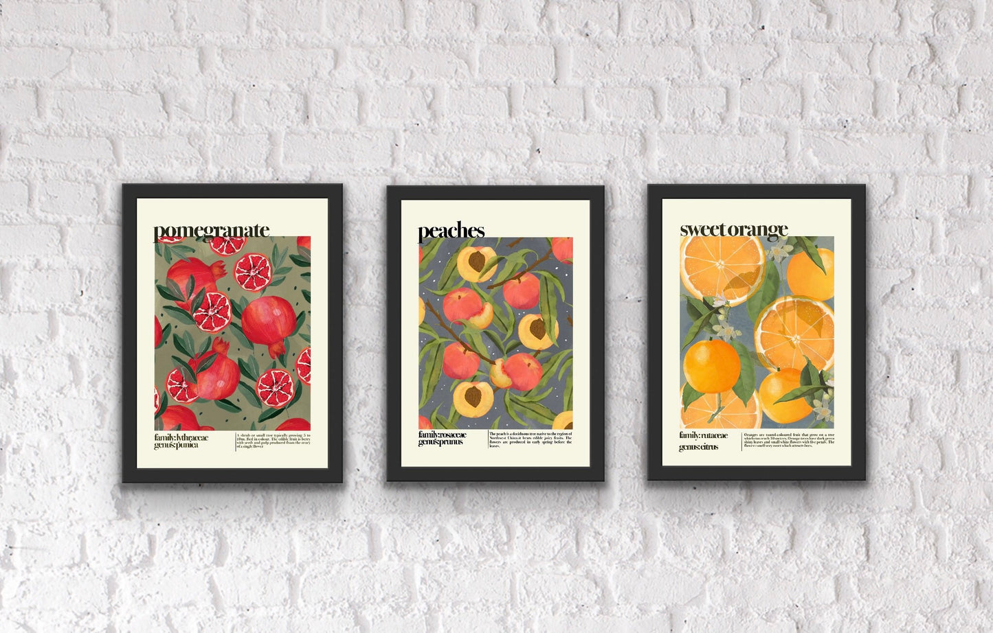 Sweet Orange | Unframed