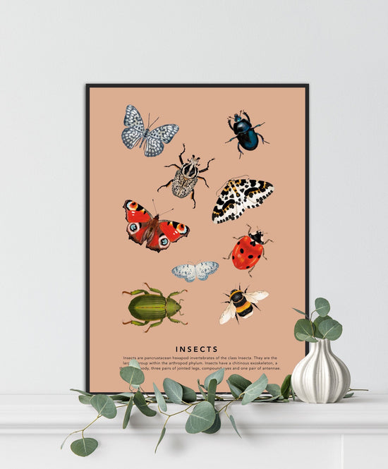Insects | Unframed