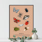 Insects, Insect Art Print, Vintage Insect Print, Insect Gallery Art, Bug Illustration, Entomological Print, Butterflies and Beetles,