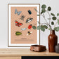Insects, Insect Art Print, Vintage Insect Print, Insect Gallery Art, Bug Illustration, Entomological Print, Butterflies and Beetles,