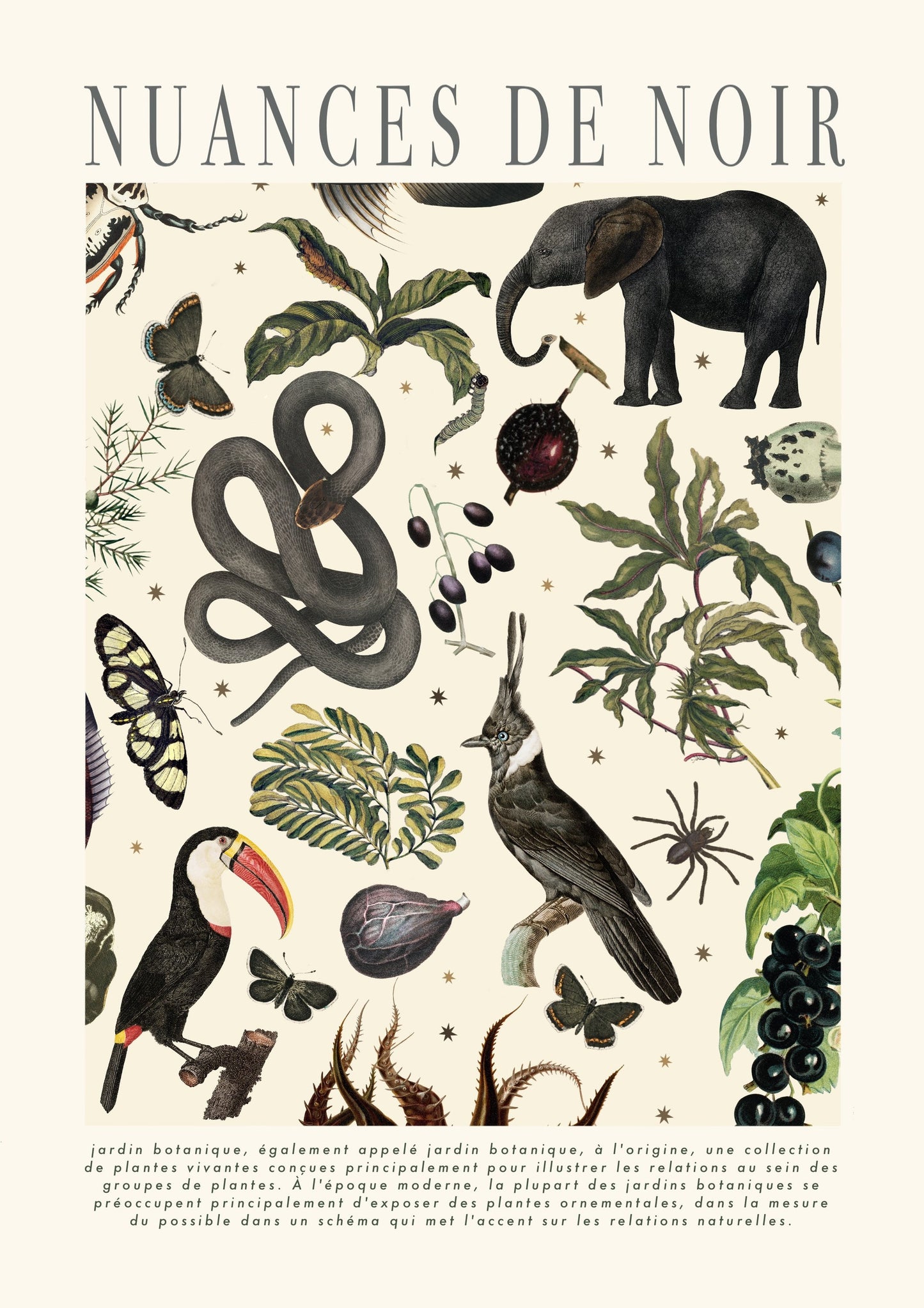 Shades of Black | Unframed