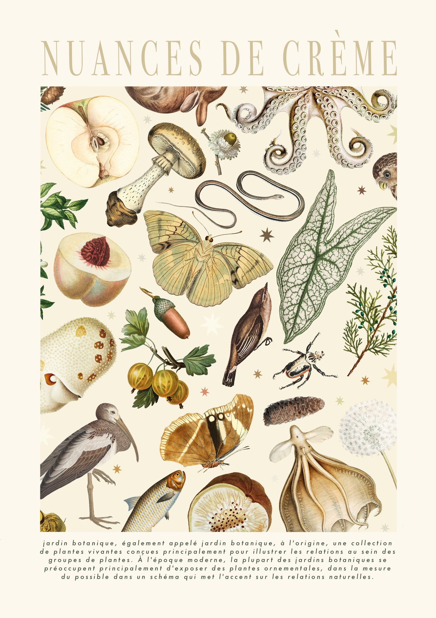 Shades of Cream | Unframed