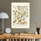 Shades of Cream / Floral Print / Print / Bedroom / Kitchen Print / French Print / Flower / Wall Art / Vintage / Botanical Print / A3 / A4 /