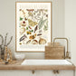 Shades of Cream / Floral Print / Print / Bedroom / Kitchen Print / French Print / Flower / Wall Art / Vintage / Botanical Print / A3 / A4 /