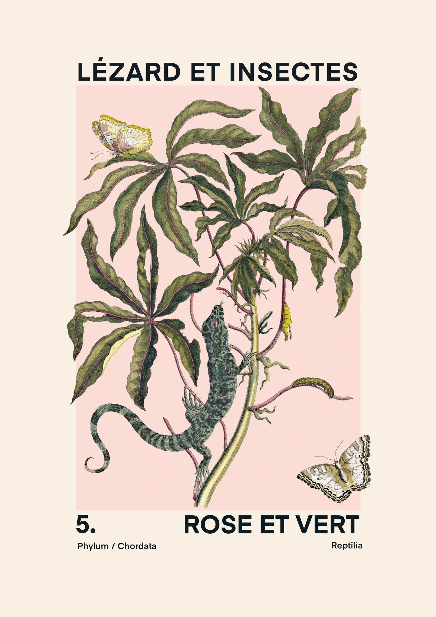 Lizards and Insects | Unframed
