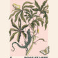 Vintage Botanical Art Print, Floral Art Sketch, French Art Print, Lizard Print, Insect Print, Bedroom, A5, A4, A3, Pink And Green Art Print,