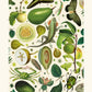 Shades of Green / Floral Print / Print / Bedroom / Kitchen Print / French Print / Flower / Wall Art / Vintage / Botanical Print / A3 / A4
