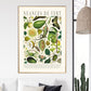 Shades of Green / Floral Print / Print / Bedroom / Kitchen Print / French Print / Flower / Wall Art / Vintage / Botanical Print / A3 / A4