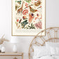 Shade of Peach / Floral Print / Print / Bedroom / Kitchen Print / French Print / Flower / Wall Art / Vintage / Botanical Print / A3 / A4 /