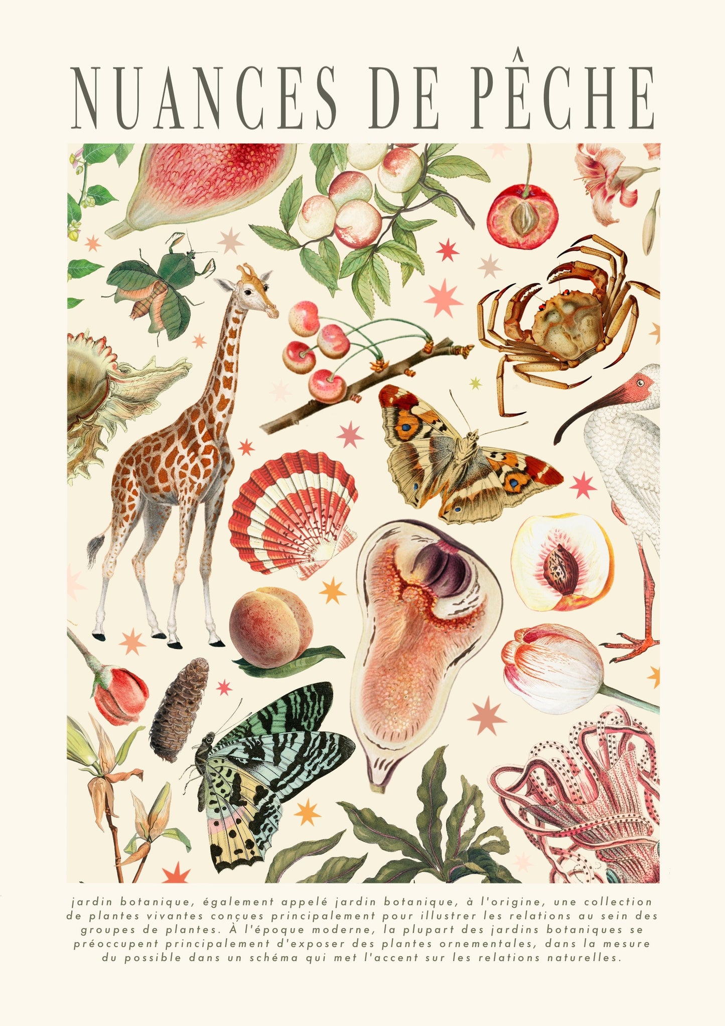 Shades of Peach | Unframed