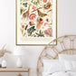 Shades of Peach | Unframed