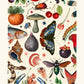 Shades of Red and Blue | Unframed