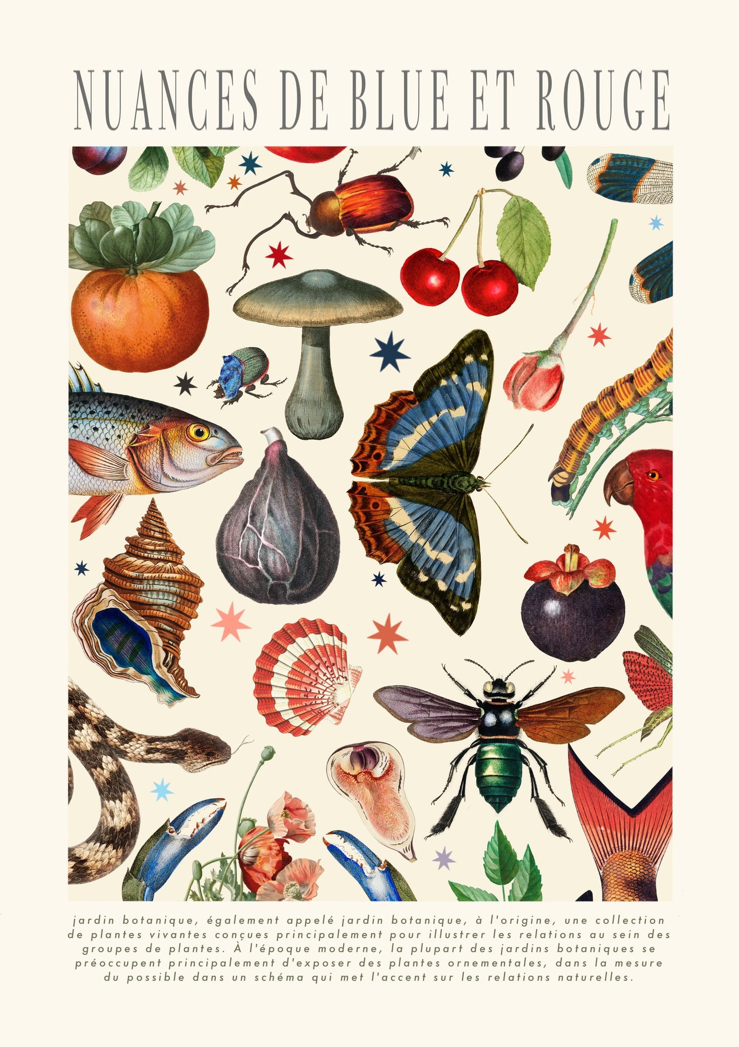 Shades of Red and Blue | Unframed