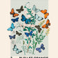 Vintage Butterfly Art Print, Butterfly Art Sketch, French Art Print, Butterflies and Flowers Print, A5, A4, A3, Blue And Orange Art Print,
