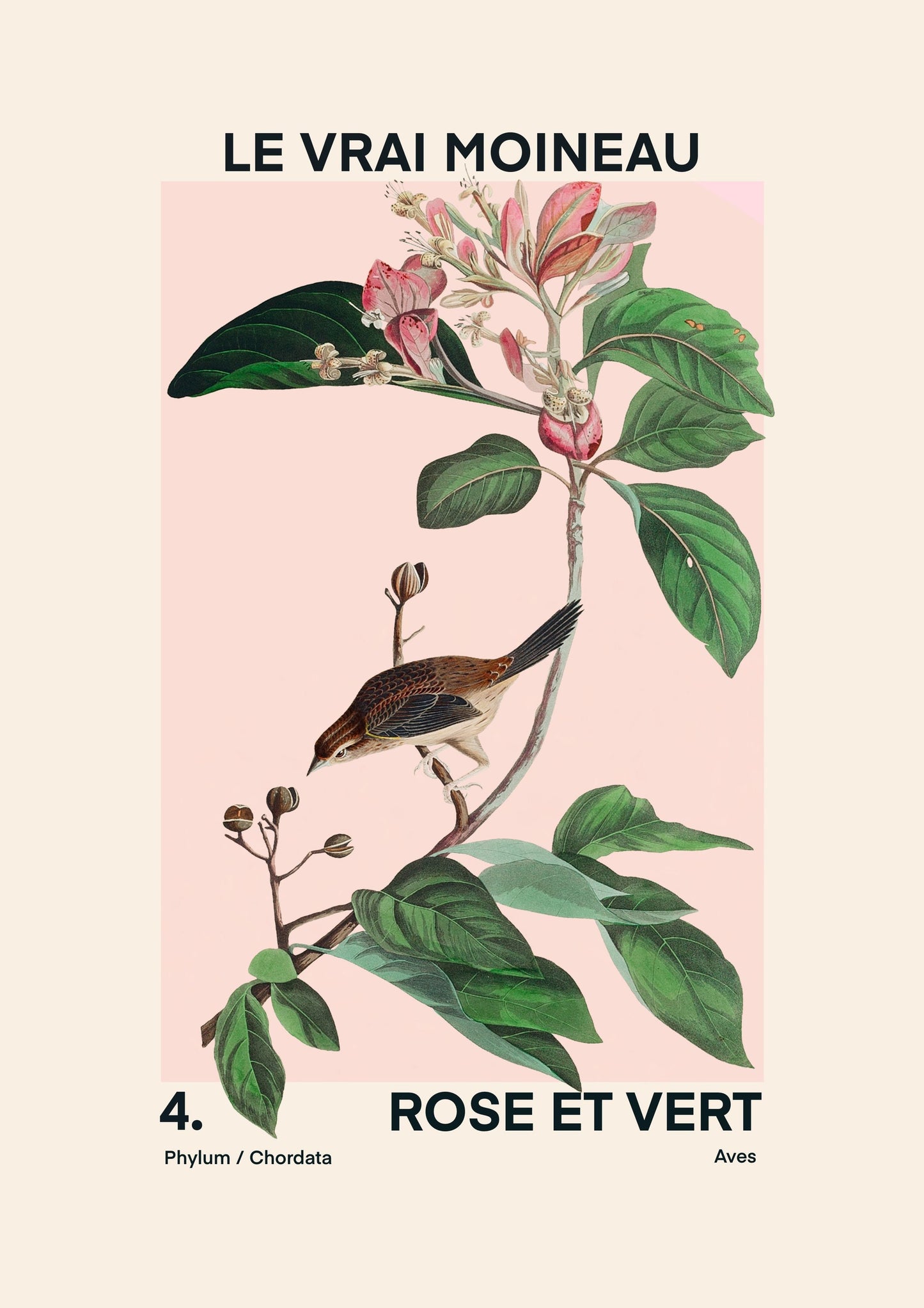 True Sparrow | Unframed