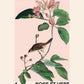 Vintage Botanical Art Print, Floral Art Sketch, French Art Print, Birds and Flowers Print, A5, A4, A3, Pink And Green Art Print,