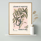 Vintage Botanical Art Print, Floral Art Sketch, French Art Print, Lizard Print, Insect Print, Bedroom, A5, A4, A3, Pink And Green Art Print,