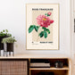 Vintage Rose Print, Flower Print, French Art Print, Floral Print, Botanical Print, Bedroom, A5, A4, A3, A2, A1, A0, Cream, pink, Pastel,