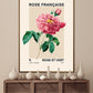 Vintage Rose Print, Flower Print, French Art Print, Floral Print, Botanical Print, Bedroom, A5, A4, A3, A2, A1, A0, Cream, pink, Pastel,