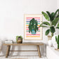 Spotted Begonia, Hand Drawn Plant Print, Colourful House Plant Print, Colour Pop Potted Plant, Cute Plant Print, Funky Print,