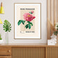 Vintage Rose Print, Flower Print, French Art Print, Floral Print, Botanical Print, Bedroom, A5, A4, A3, A2, A1, A0, Cream, pink, Pastel,
