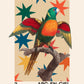Parrot | Unframed