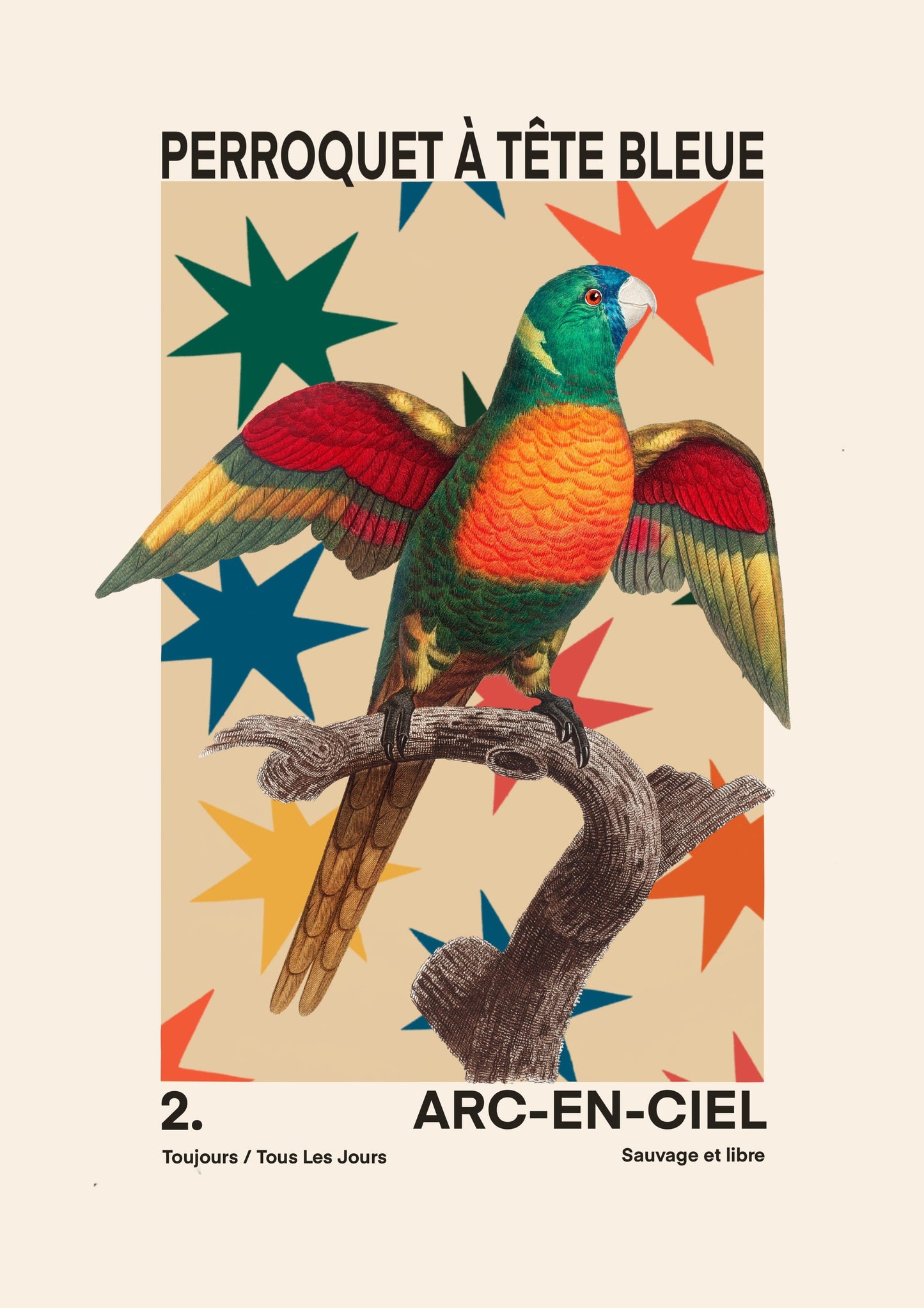 Parrot | Unframed