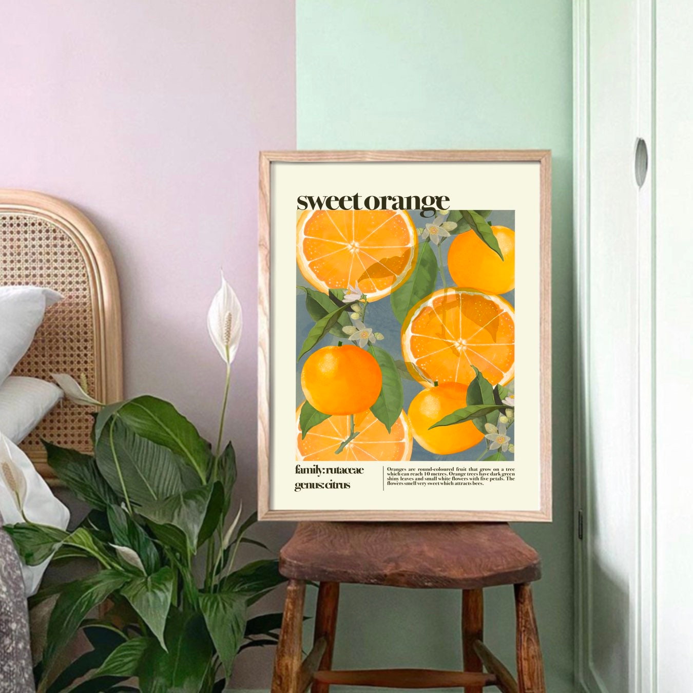 Sweet Orange | Unframed
