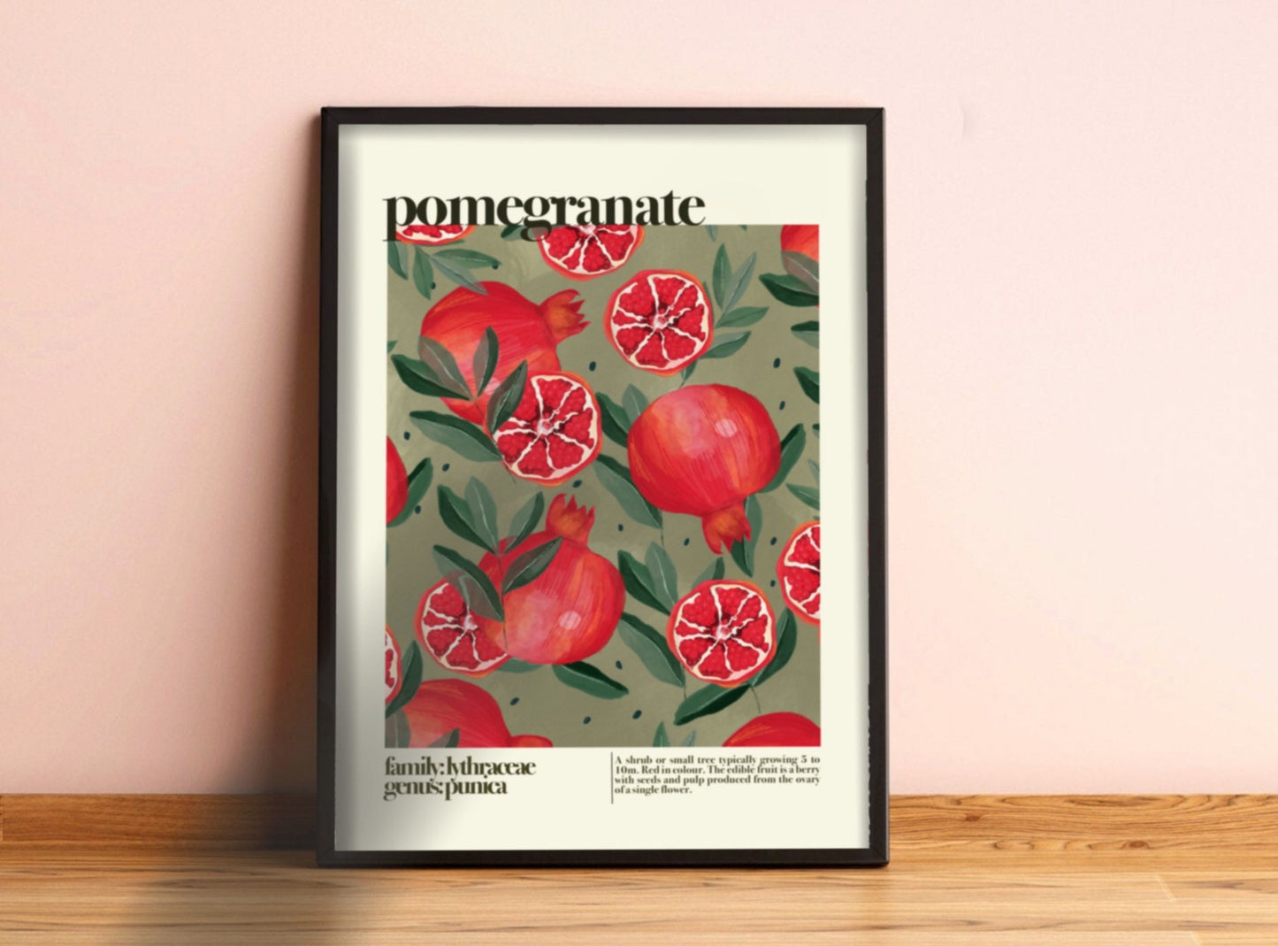 Pomegranate | Unframed