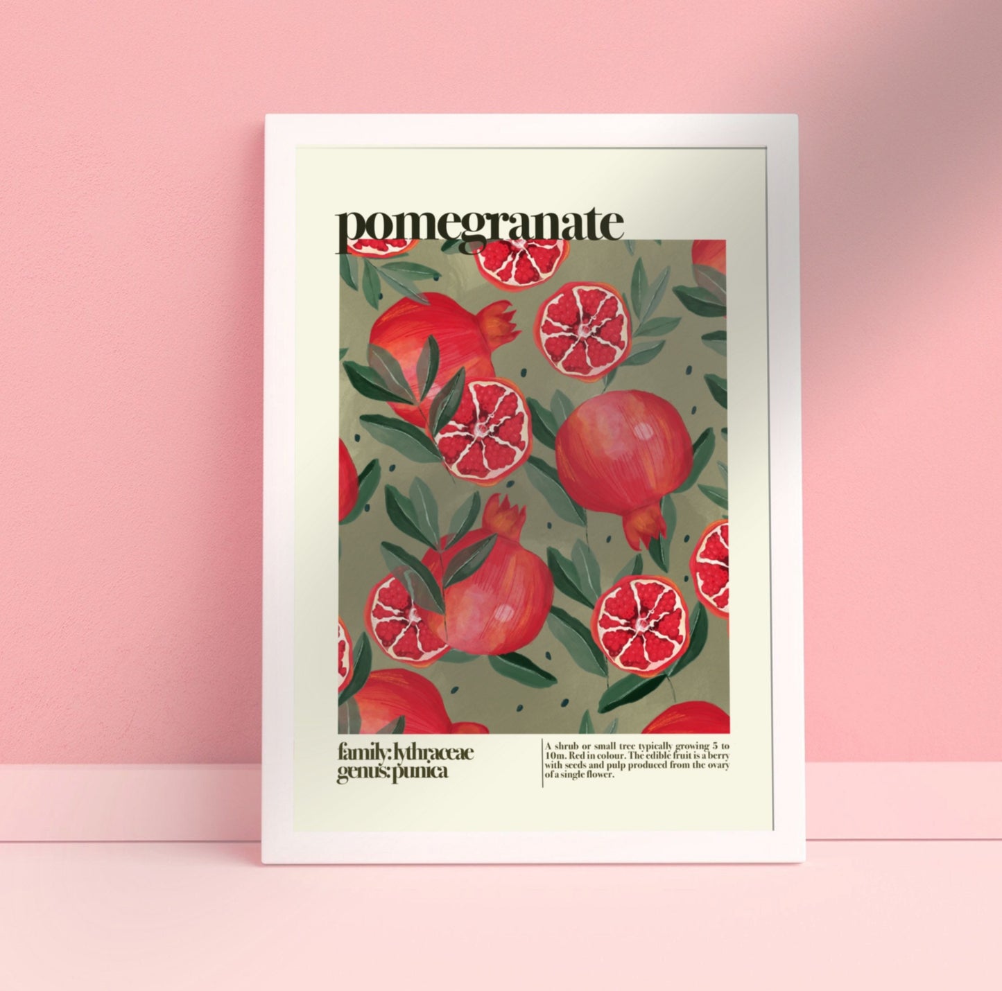 Pomegranate | Unframed