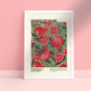 Pomegranate / Pomegranate Print / Fruit Print / Still Life / Summer Print / French Print / Fruit / Wall Art