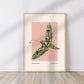 Night Moth | Unframed