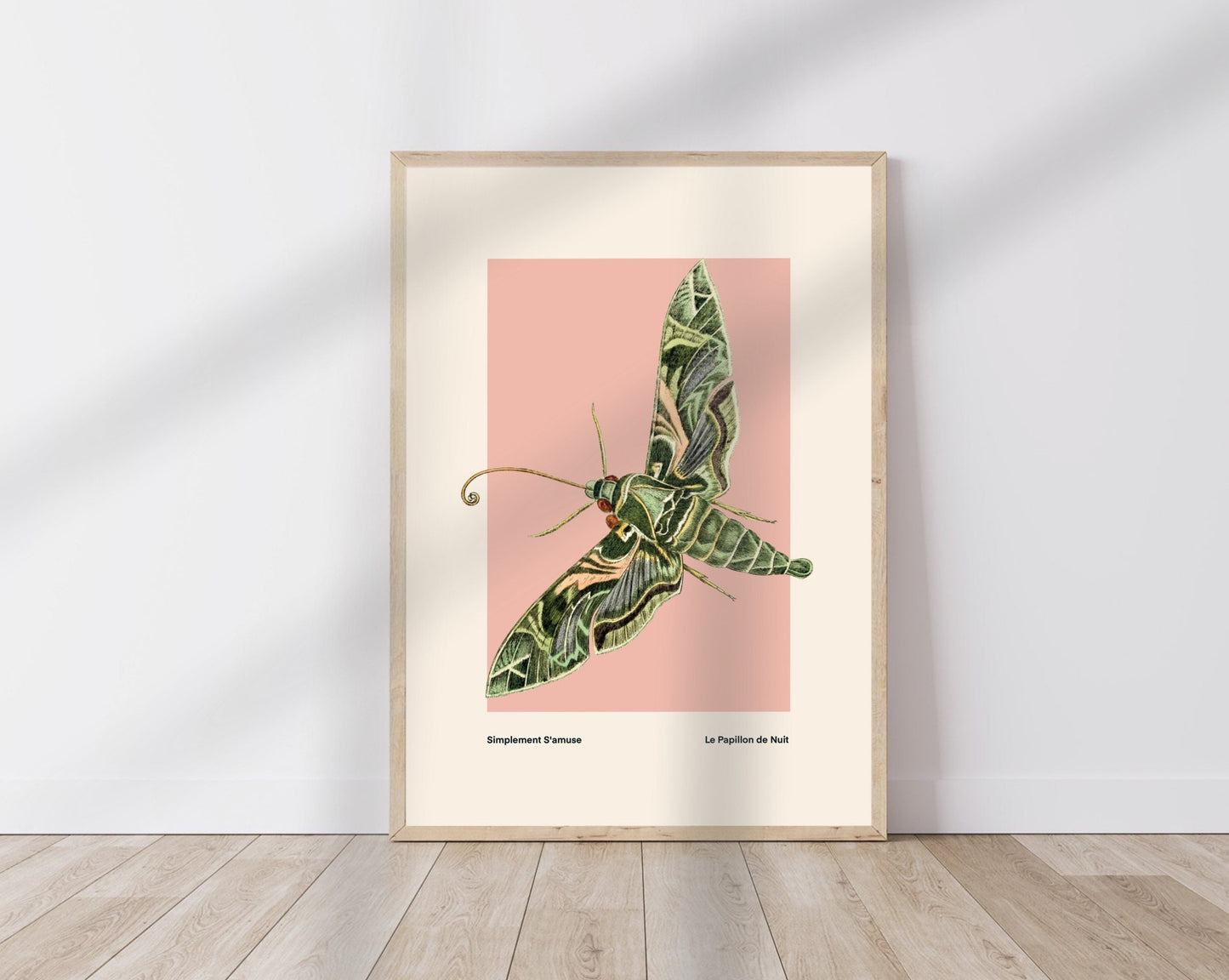 Night Moth | Unframed